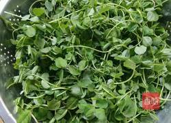 蒜蓉花草的做法图解1