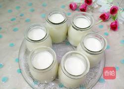 自制酸奶的做法图解13