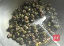 辣炒螺狮的做法图解3