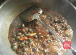 辣炒螺狮的做法图解5