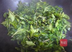 清炒枸杞头的做法图解3