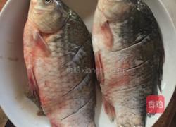 家烧鲫鱼的做法图解1