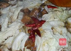 红烧肉炖粉条白菜的做法图解10