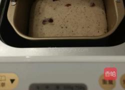 高钙低糖全麦十谷米蔓越梅土司的做法图解8