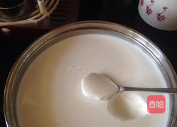 自制酸奶的做法图解7