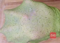 春意盎然的菠菜面包的做法图解4