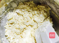 抱坚果的小熊饼干的做法图解5