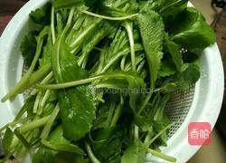 车螺芥菜猪骨汤的做法图解4