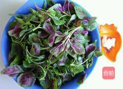 蒜末苋菜的做法图解1