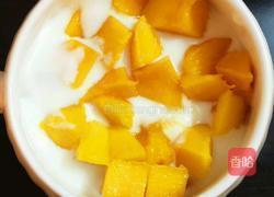 水果麦片酸奶的做法图解5