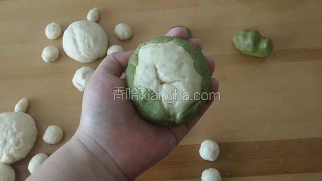 渐渐包住白色面团  乌龟身体就做好了