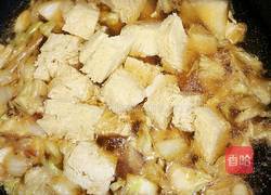 白菜冻豆腐炖粉条的做法图解3