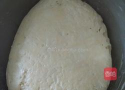 可爱的小猪的做法图解1