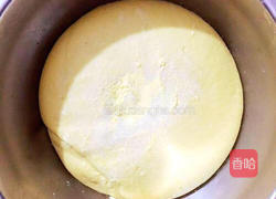 玉米面奶黄包的做法图解6
