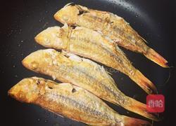 蕃茄煮红衫鱼的做法图解3