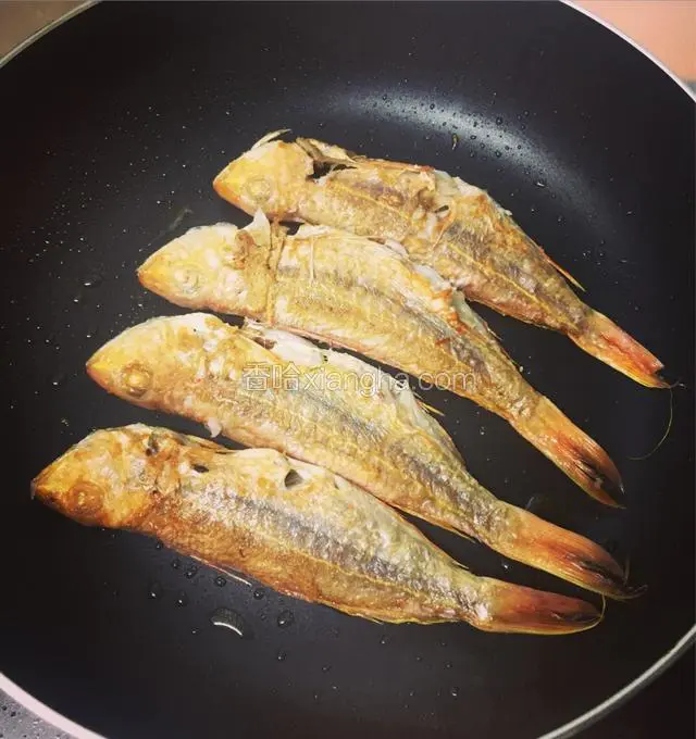 烧红锅，下少许的油，把红衫鱼煎至两面金黄，上碟备用。