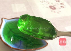 绿叶果冻的做法图解4