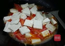 西红柿炖豆腐的做法图解3