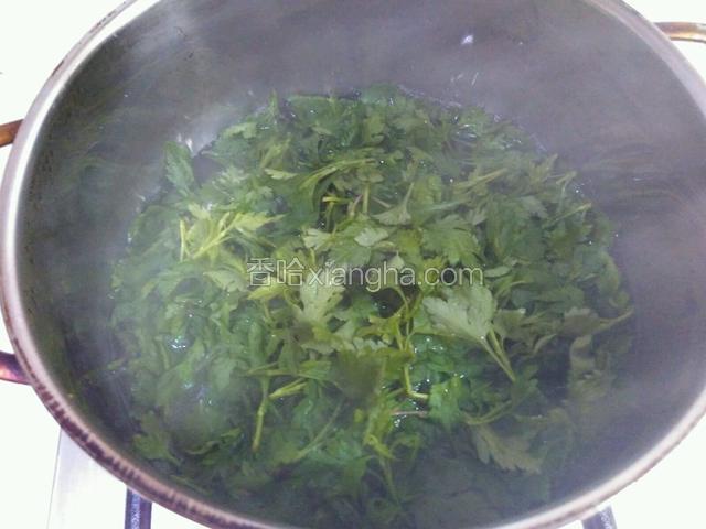 锅里水烧开，倒入菊花叶