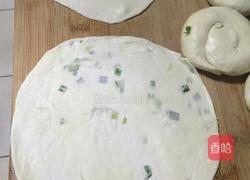 烙饼的做法图解4