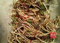 折耳根的做法图解1