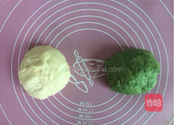 无油汤种双色排包的做法图解4