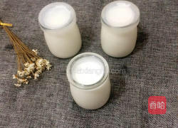 自制酸奶的做法图解8