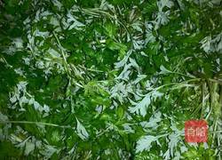 艾糍的做法图解1