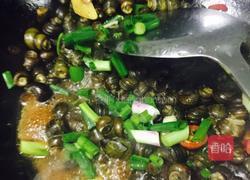 炒螺蛳的做法图解11