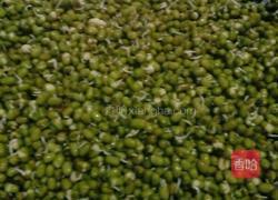 绿豆芽的做法图解5