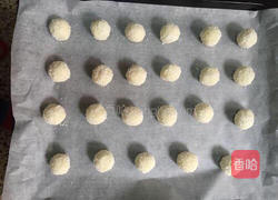 蛋白椰丝球的做法图解9