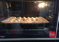 蛋白椰丝球的做法图解10