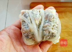 白菜包包(百财)的做法图解9