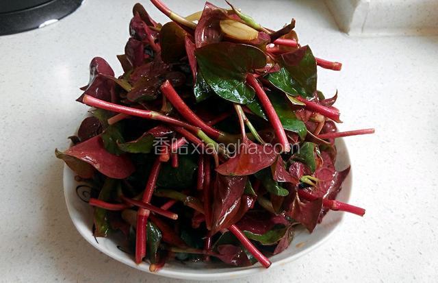 凉拌鱼腥草