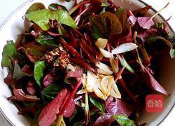 凉拌鱼腥草的做法图解5