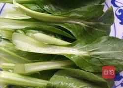 扁粉菜的做法图解6