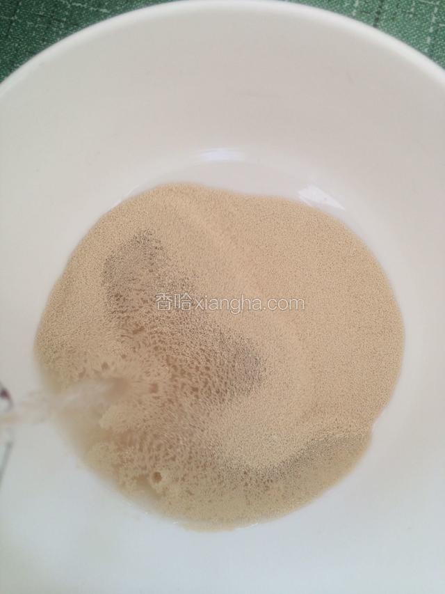 将温开水倒入酵母中化开