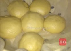 玉米馒头的做法图解9