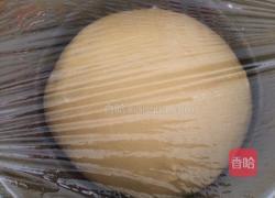 玉米馒头的做法图解8