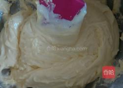 蛋黄饼干的做法图解5
