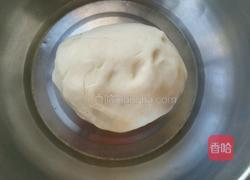 萝卜丝蛤蜊肉水饺的做法图解1