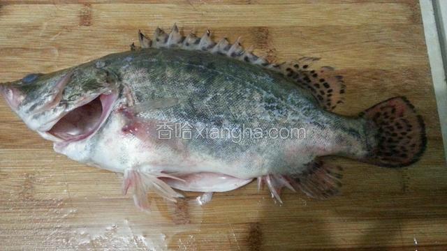 准备好一条贵鱼，将它洗净