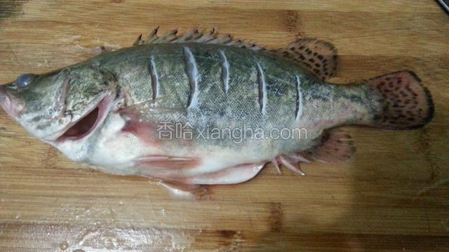 在鱼背上划几刀，斜着切