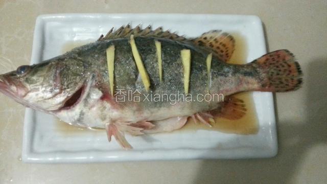 将鱼放在盘中，放点盐，料酒，姜片