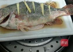 清蒸贵鱼的做法图解6