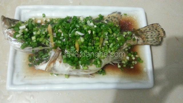 淋上蒸鱼豉油和小葱花