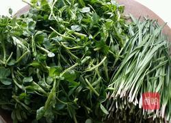 苜蓿菜卷的做法图解1