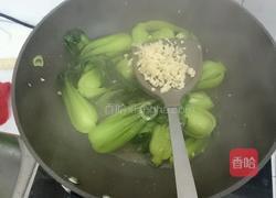 蒜泥青菜的做法图解4