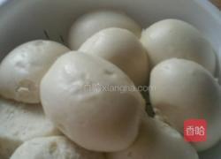 简易蒸馒头的做法图解5