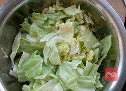 凉拌圆白菜的做法图解1